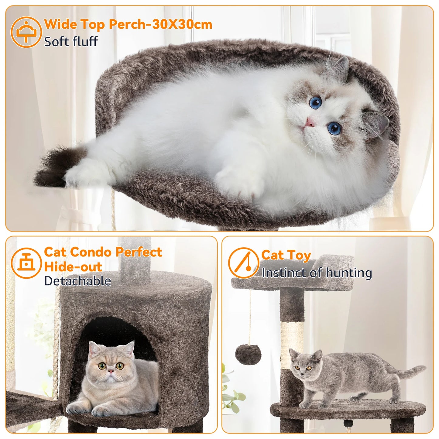 Cat climbing tree