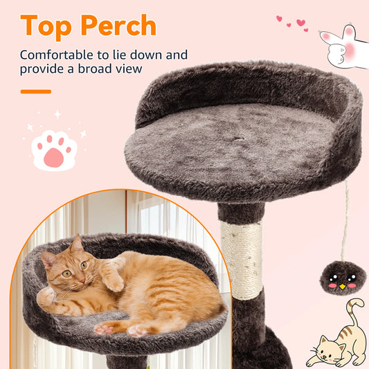 Cat climbing tree