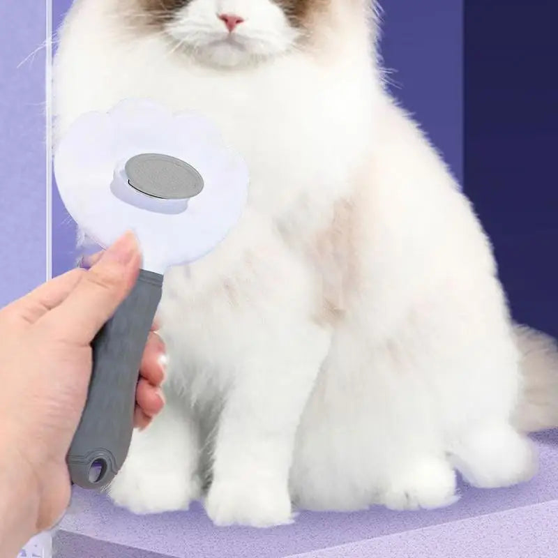 Cleaning Cat Brush – Gentle & Effective Grooming Tool