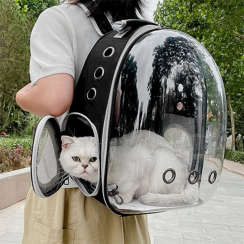 Transparent cat carrier backpack