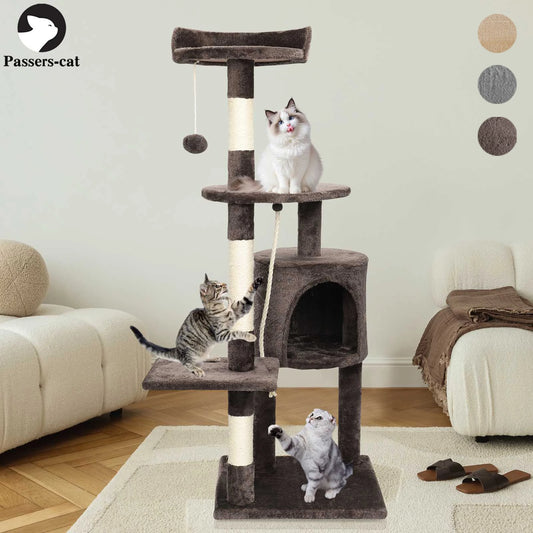 Cat climbing tree